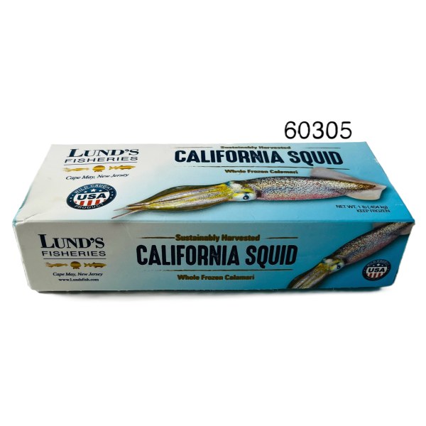 SQUID WHOLE/CALAMAR ENTERO. 24/1LB