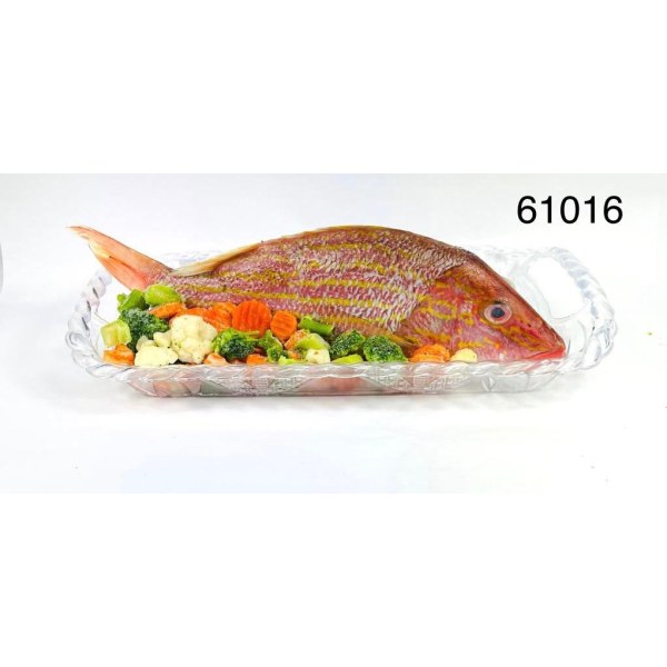 RED SNAPPER WGGS/PARGO 1.5-2. 12/1.6LB