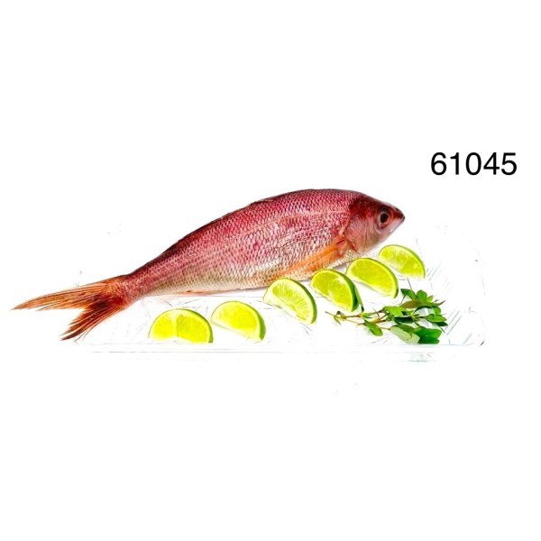 PARGO ENTERO 1.5-2 IVP WGGS INDONESIA. 8/1.25LB