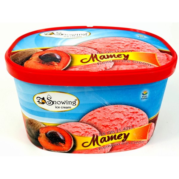 MAMEY ICE CREAM/HELADO. 8/48OZ